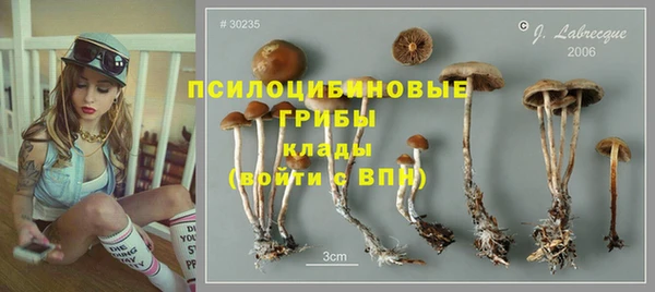 прущая мука Михайлов