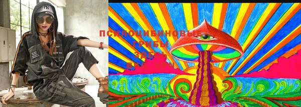 стафф Ахтубинск