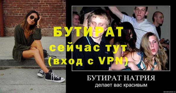 сатива Михайловск